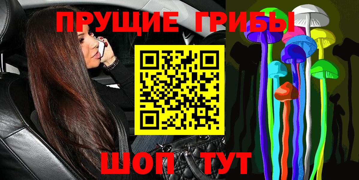 Татарск  дарнет шоп  Вход с VPN  Галлюциногенные грибы Psilocybine cubensis 