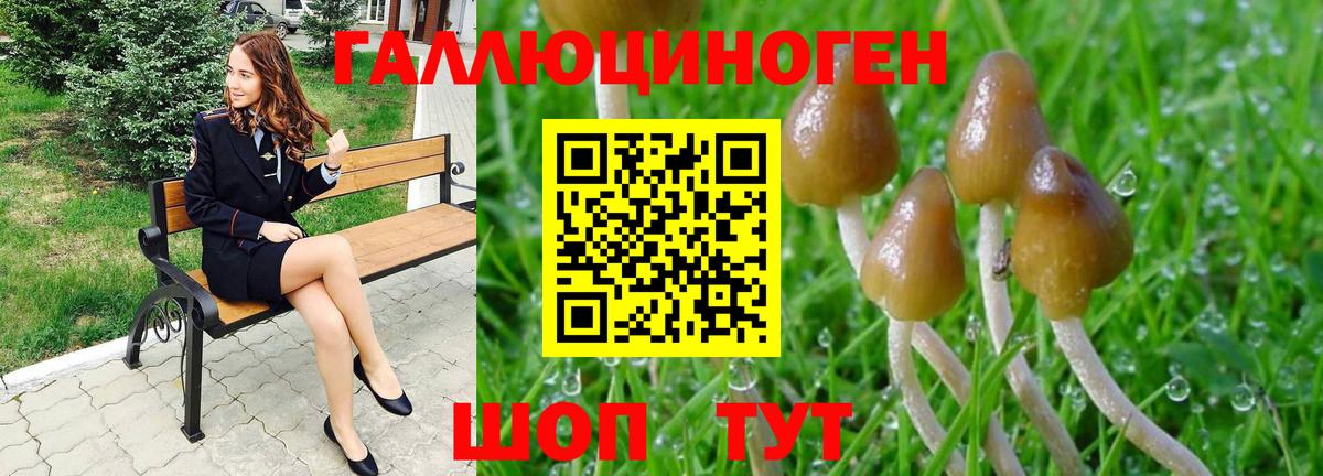 Псилоцибиновые грибы Cubensis  Псилоцибиновые грибы MAGIC MUSHROOMS  где купить наркотик  Татарск 