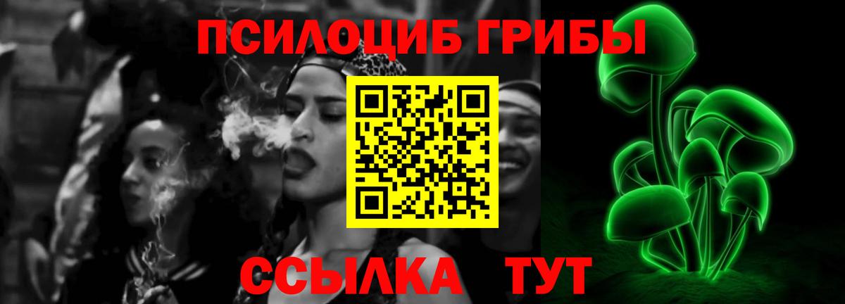 Галлюциногенные грибы Psilocybine cubensis Татарск